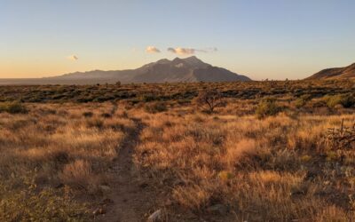 CDT 2026: 7 Things Every Hiker Needs to Know Before Hitting the Divide