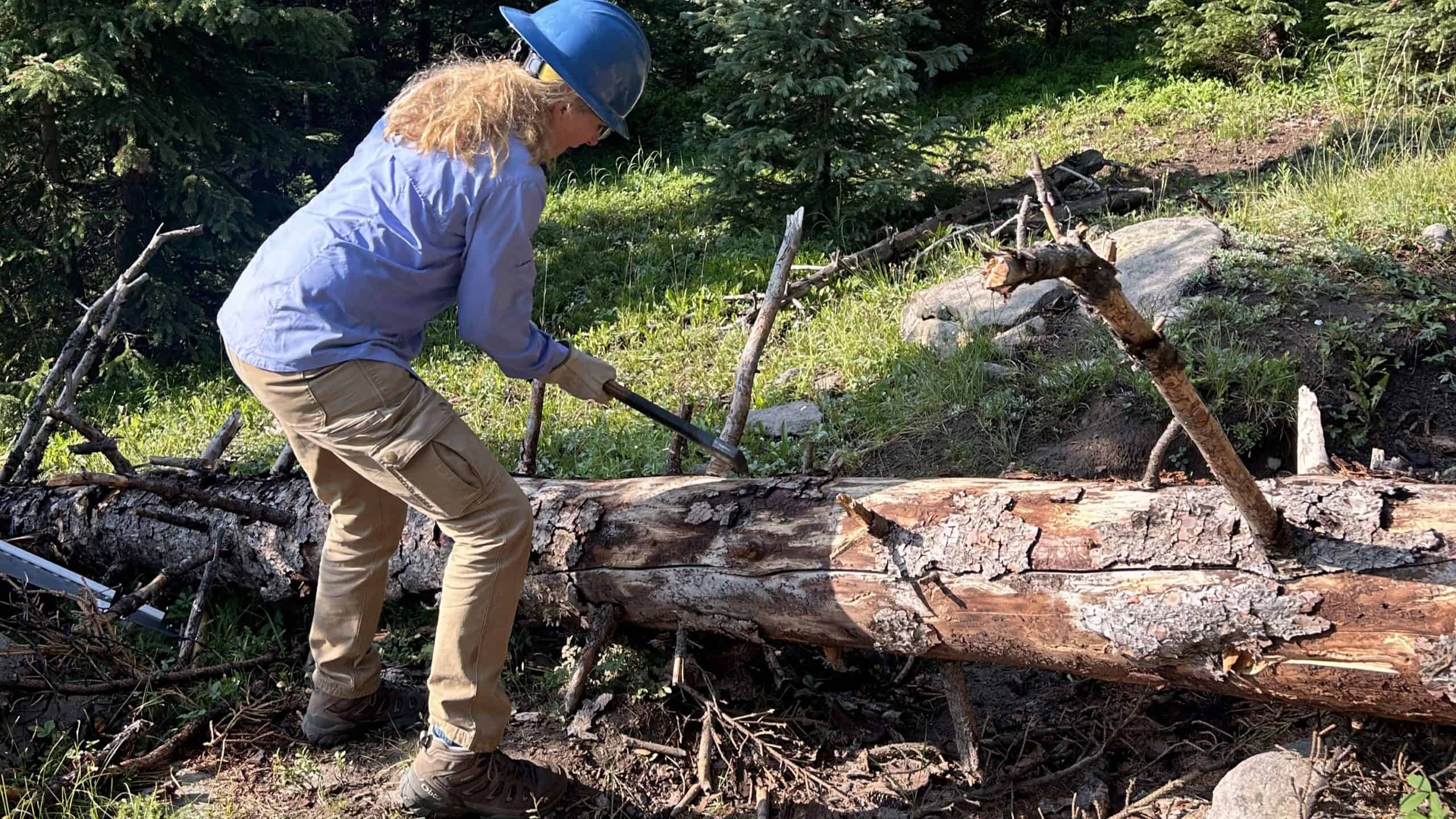 South Fork Volunteers