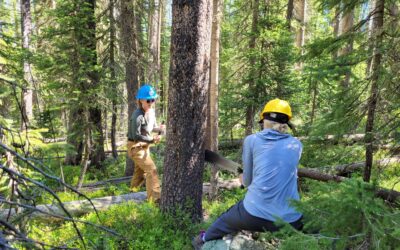 San Pedro Parks Wilderness Project