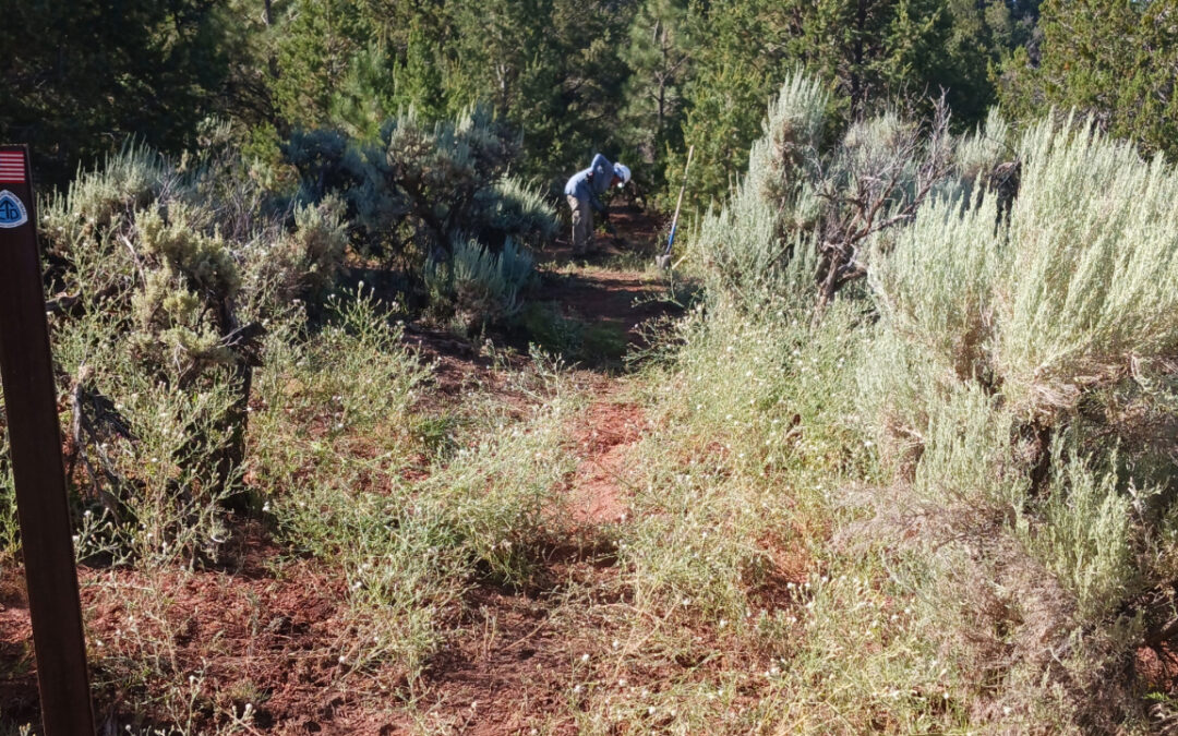 Cuba Stewardship Event I Cuba, NM