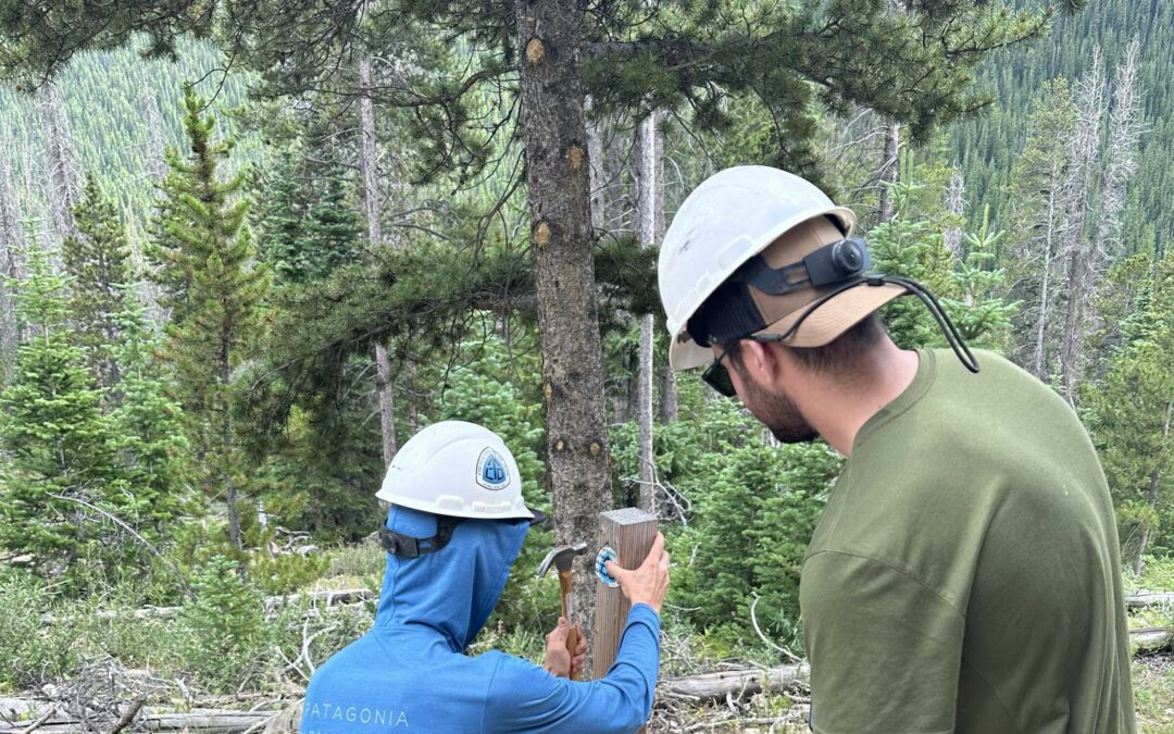 Colorado Adopter Training with Friends of the Dillon Ranger District