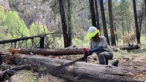 Middle Fork Crosscut