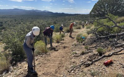 Digging In | Completing the Neglected Mine Trail Reroute