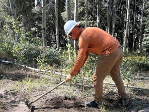 Carson National Forest Legacy Project