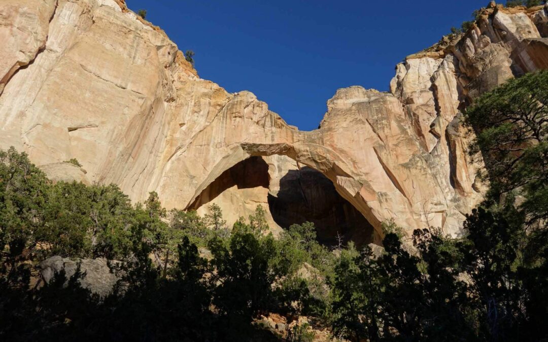 Testimony to the U.S. House of Representatives Subcommittee on National Parks, Forests, and Public Lands provided by Teresa Martinez, on behalf of the Continental Divide Trail Coalition