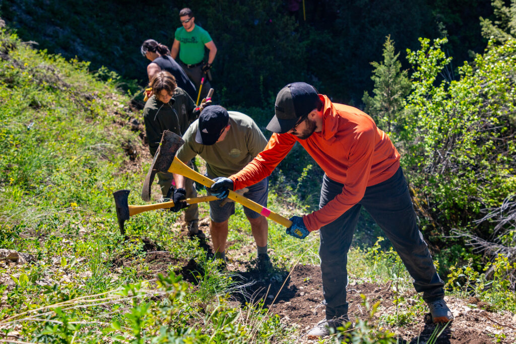 Team OBOZ doing tread work on their adopted section of the Continental Divide Trail. 