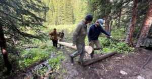 CDTC trail crew members carry a timber for turnpike reconstruction.