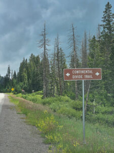 Brown sign for Cumbres Pass on the side of the road in front of a forest.