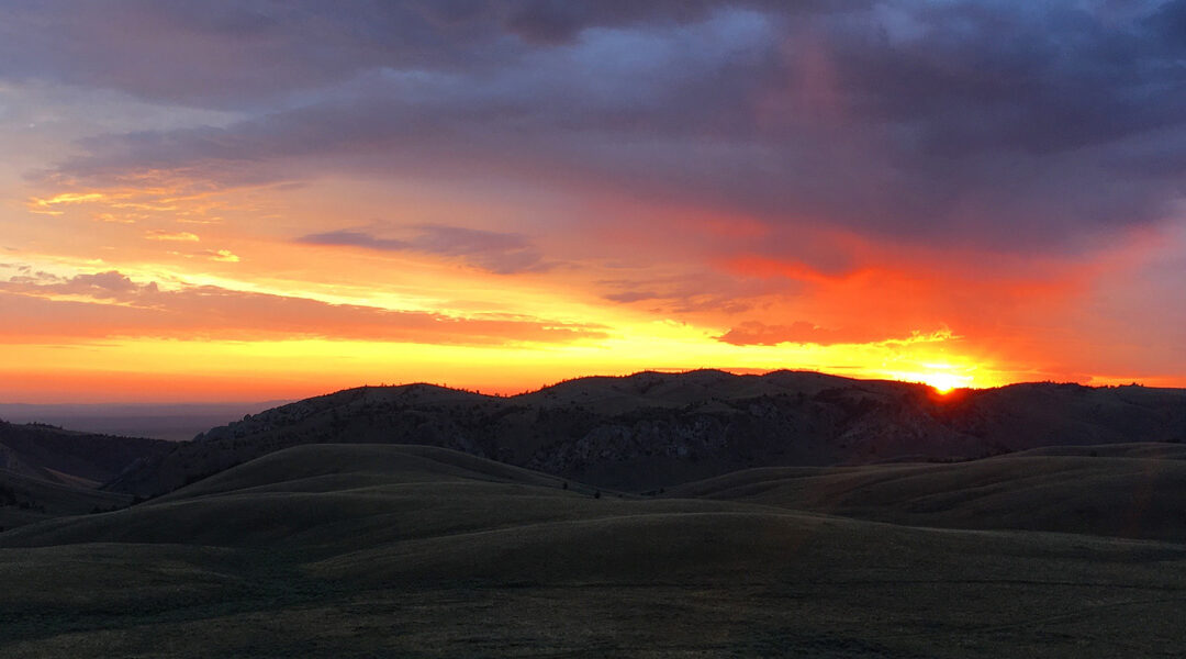 Advocacy Alert | Comment on BLM Changes