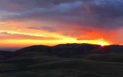 Advocacy Alert | Comment on BLM Changes