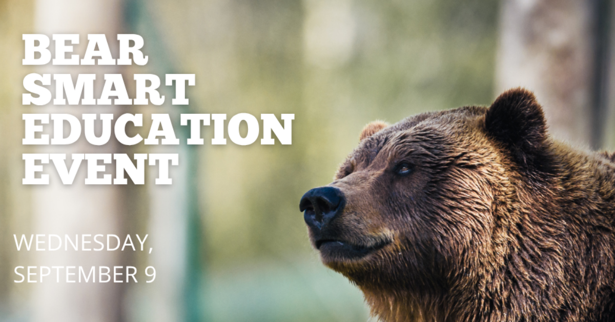 Bear Education Event 2026 (instagram Post (45)) (2) (1) Bear Education Event 2026 (instagram Post (45)) (2) (1)