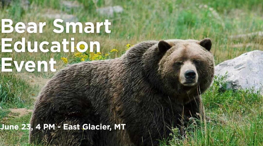 Bear Aware Safety Training – East Glacier, MT
