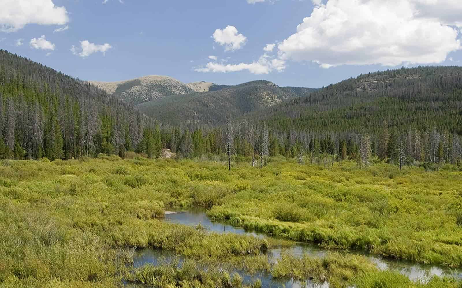 Blackfoot Headwaters