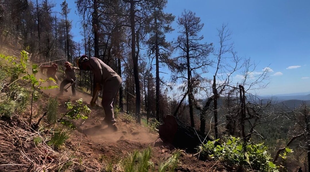 GAOA Trail Crew Completes 24 Miles of Maintenance on the Gila National Forest