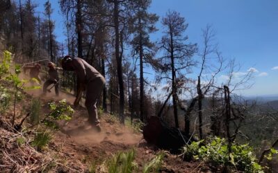 GAOA Trail Crew Completes 24 Miles of Maintenance on the Gila National Forest