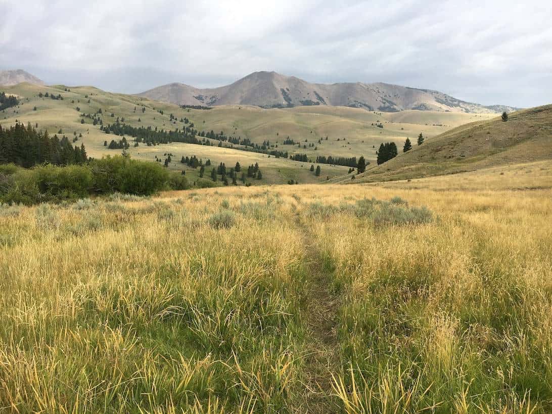 Butte Beaverhead Matt Berger