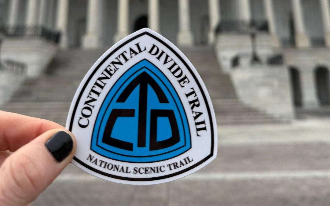 Senate Committee Approves CDT Completion Act