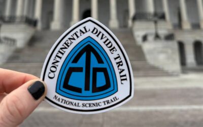 Senate Committee Approves CDT Completion Act