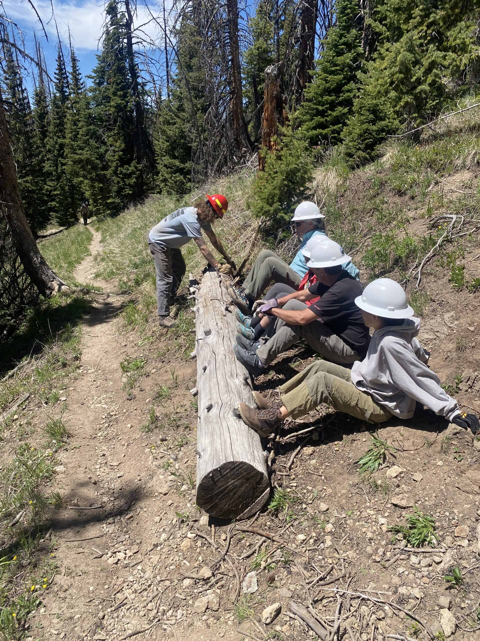 Co Adopter Training Log Move