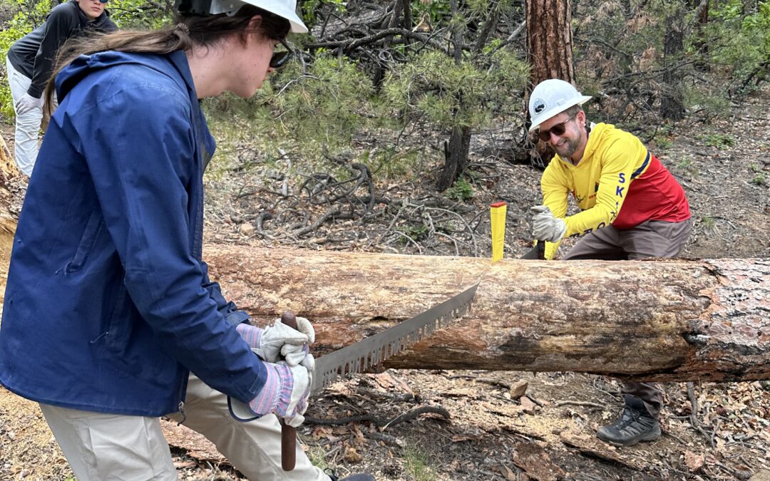 Canjilon Trailwork with New Mexico Volunteers for the Outdoors