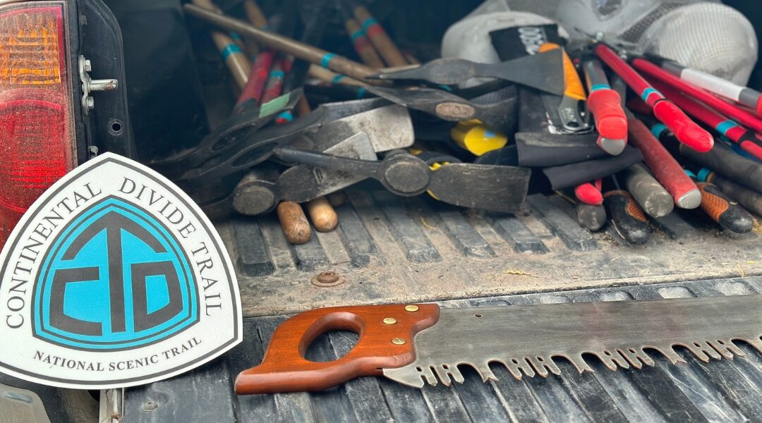 Canjilon Trailwork with New Mexico Volunteers for the Outdoors