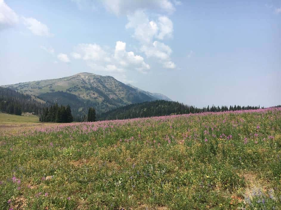 Centennial Mountains Matt Berger