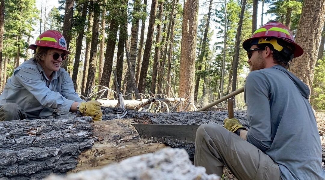 From Brushing to Blowdowns: Our GAOA Crew’s June in Santa Fe National Forest