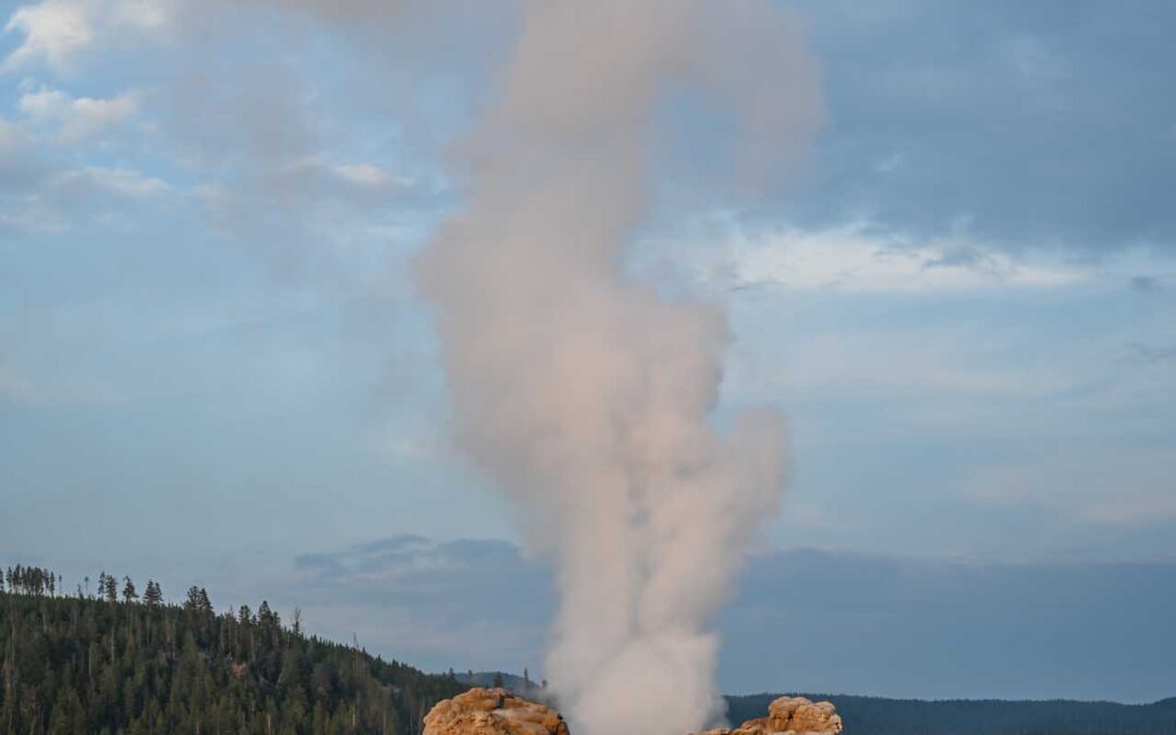 Dsc 2552