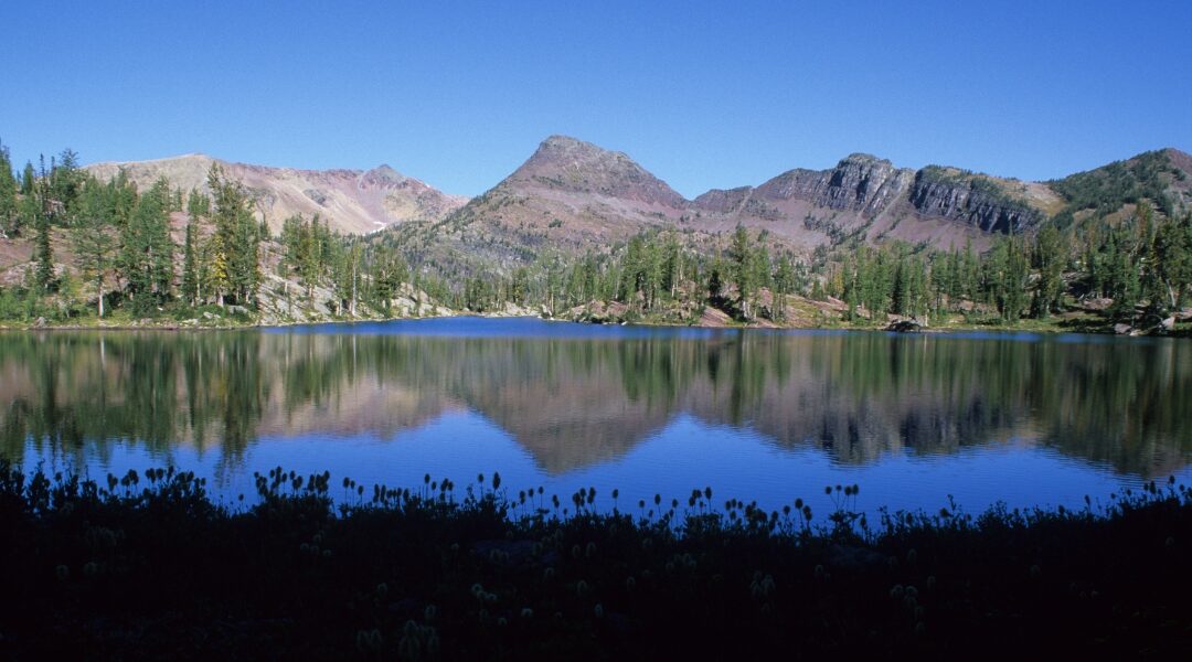 Eastside of the Bob Marshall Wilderness 2026 Trail Project