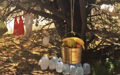 The “Leave No Trace” Trail Angel: A Guide to Low-Impact Kindness