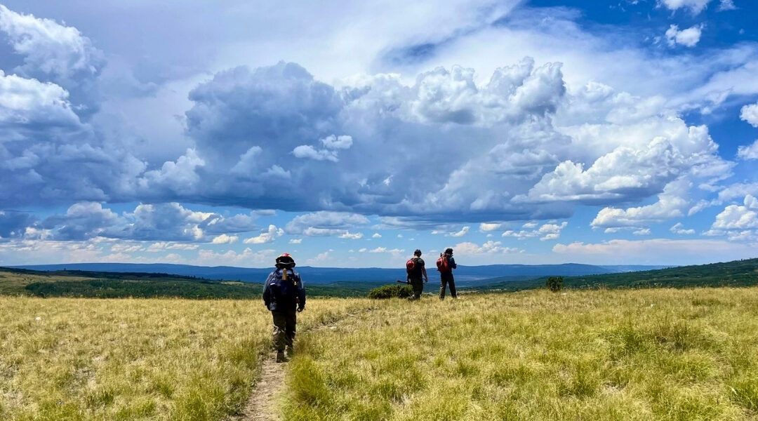 Cows, Chainsaws, and Storms: GAOA Crew Report from Carson National Forest
