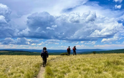 Cows, Chainsaws, and Storms: GAOA Crew Report from Carson National Forest