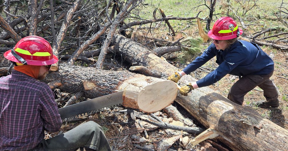 GAOA Crew Launches in New Mexico - Continental Divide Trail Coalition