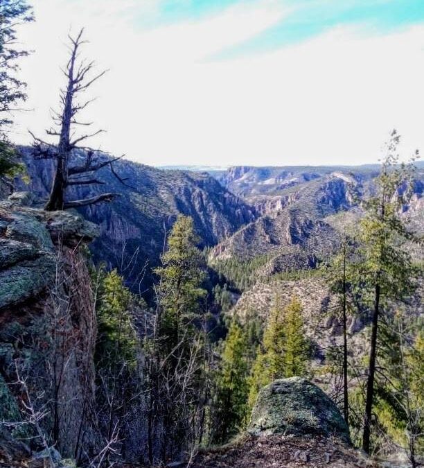 Explore New Alternate Trails in the Gila Wilderness!