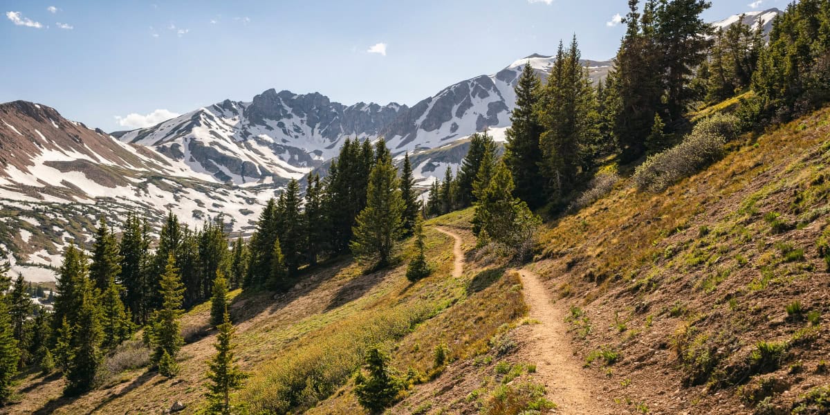 Herman Gulch Backcountry Project