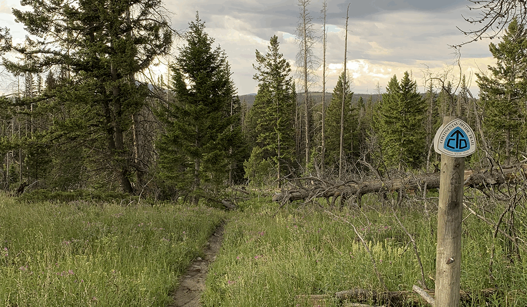 New Resources Benefit Northern CDT