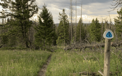 New Resources Benefit Northern CDT