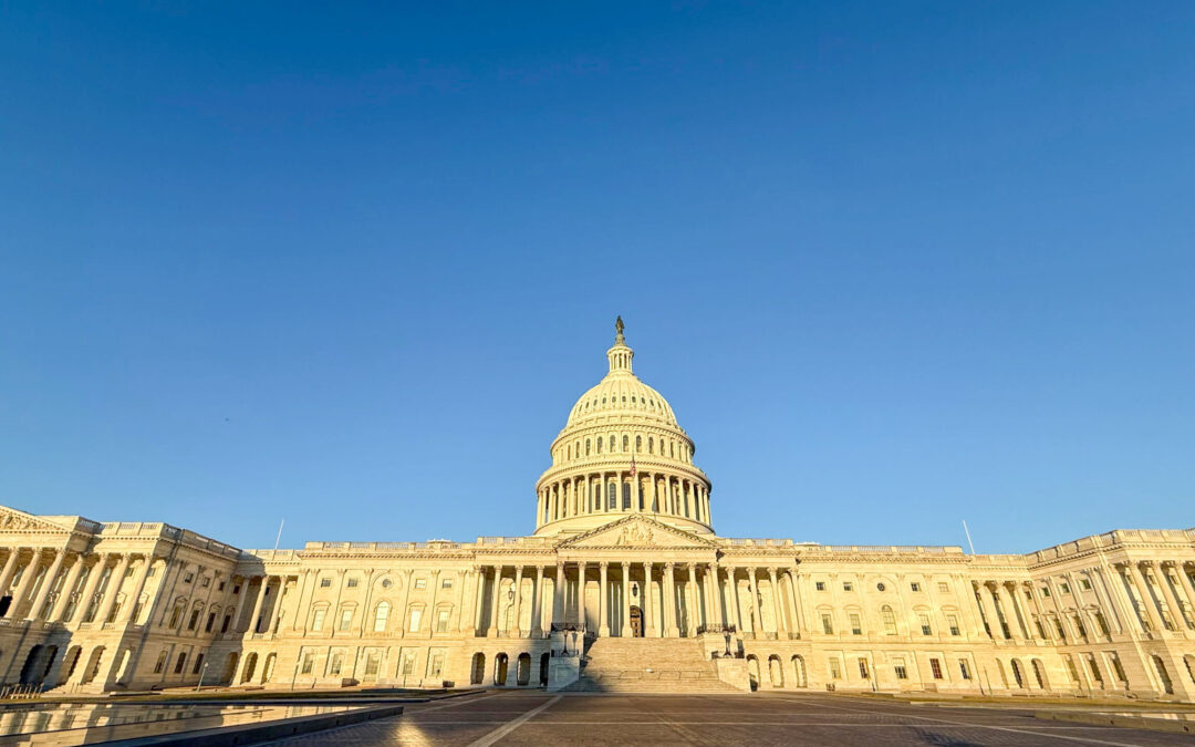 Looking Back to Look Forward | Preparing for Hike the Hill 2026