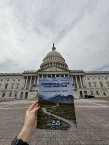 Congressional Report to the Capital steps