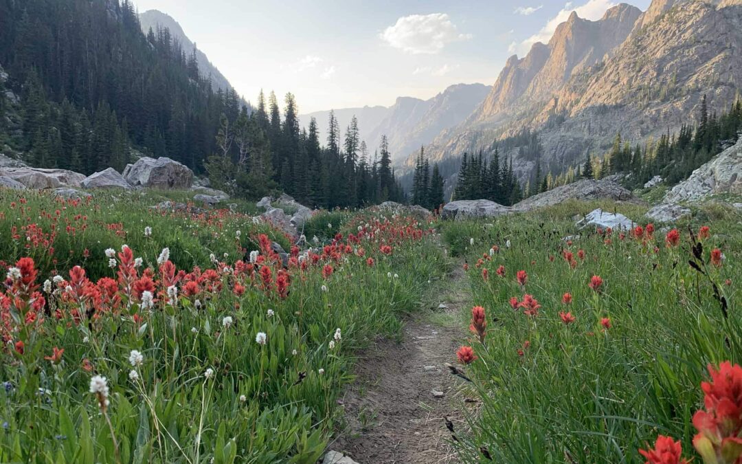 Committee Hearing Brings the Continental Divide Trail One Step Closer to Completion