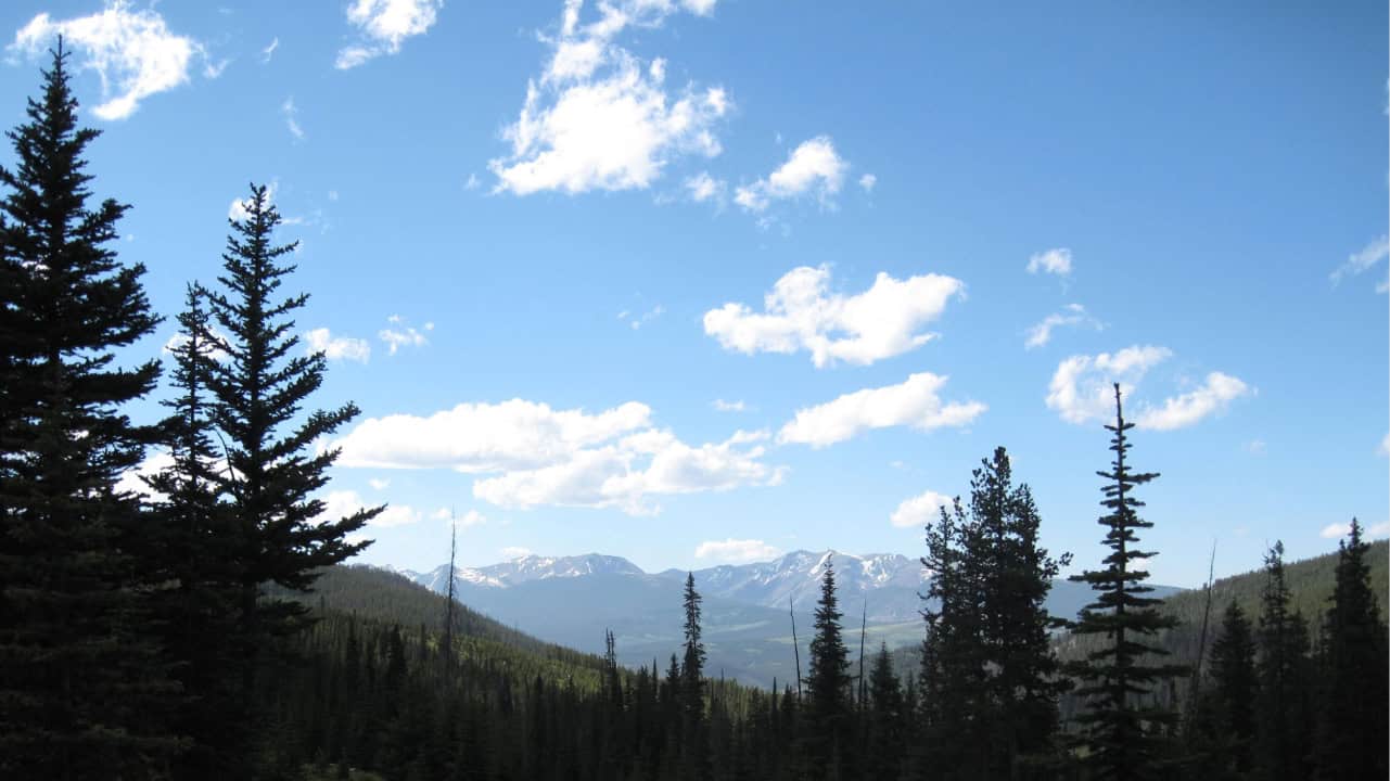 Img 1335 (1)