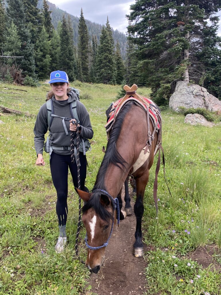 1 person leading a horse on a trail 