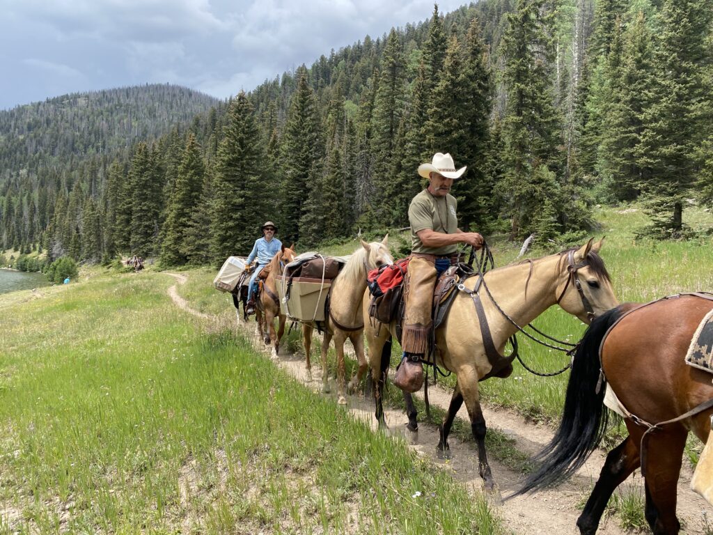 2 men and three horses in a line on a trail with packs