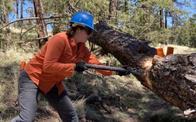 GAOA Trail Crew Member