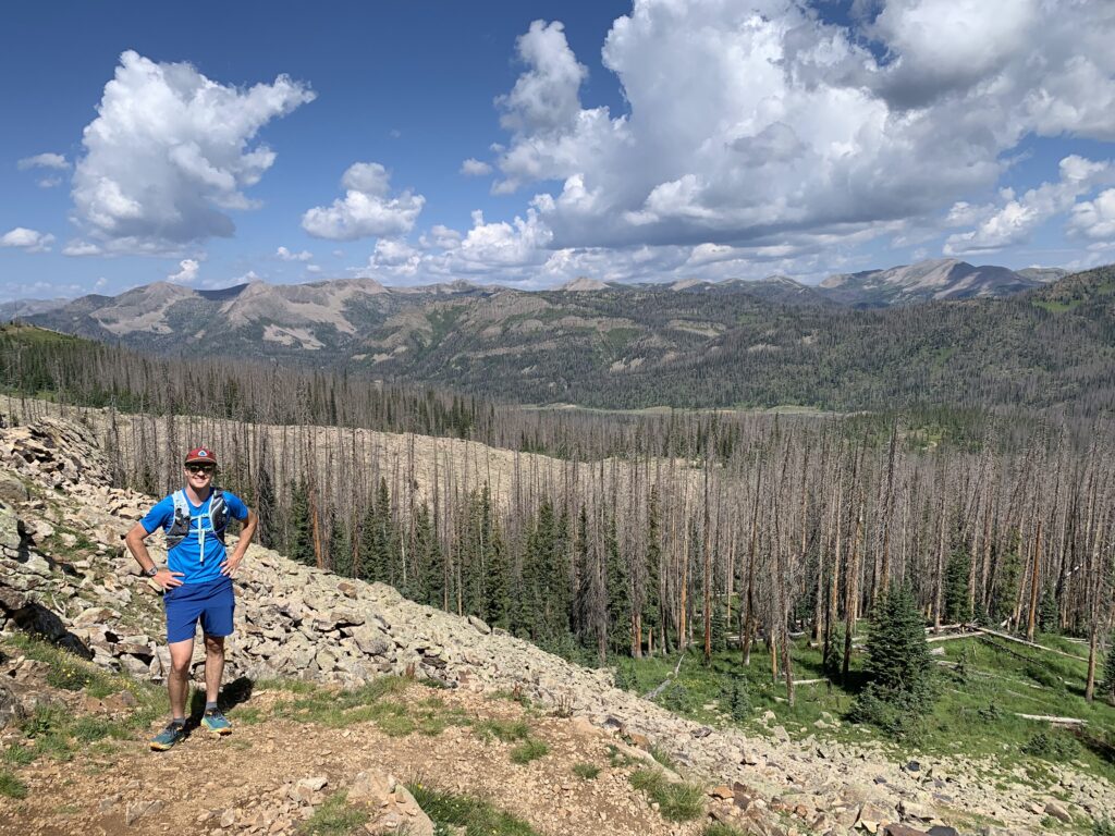 1 person on a trail overlooking dead trees in the foreground and the San Juan mountains in the background