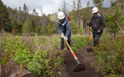 Beyond the Hike | Maintaining Our Trails Together