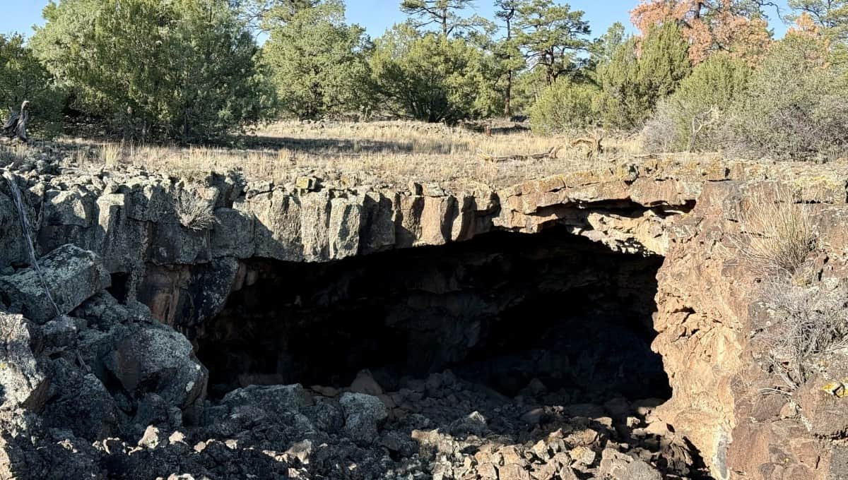 Collapsed lava tube opening in dark basalt rock surrounded by piñon and juniper at El Malpais National Monument, New Mexico