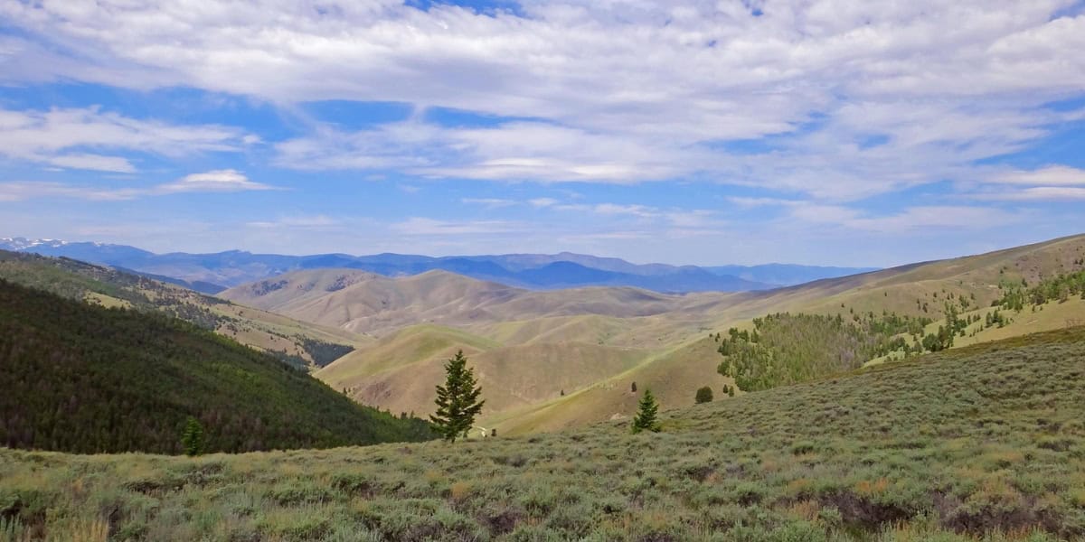 Lemhi Pass Restoration Project