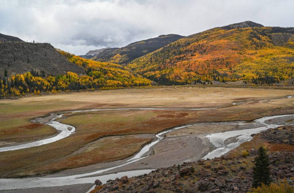 Fall Foliage and the Wonders of Aspens Along The CDT