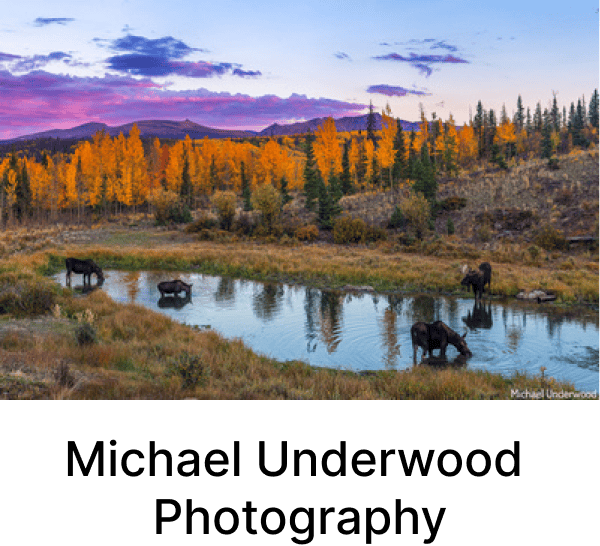 Michael Underwood Photography